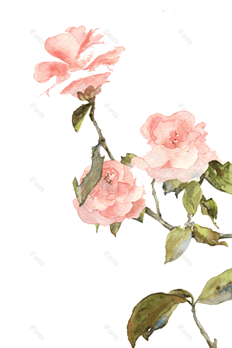 中国风图片,牡丹元素,玫瑰花PNG,花朵免抠素材